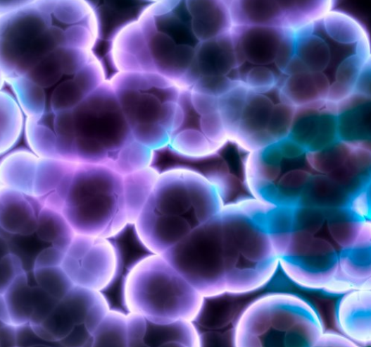 Miért romlik meg az étel? – élelmiszerek a melegben